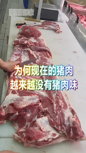 为什么现在猪肉没有了猪肉味 老农说出了实情,你有什么想法