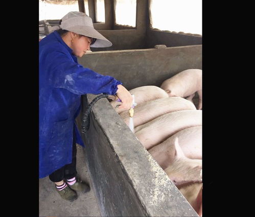 你家的香肠腊肉做没 杨腊香又好吃又干净,速速get
