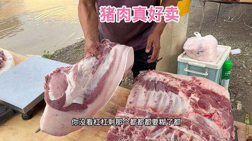今天老孟换地方卖猪肉,竟然杀俩猪一大一小,没想道还挺好卖,牛