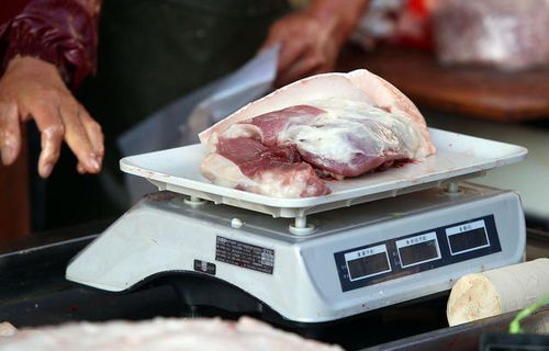 11月2日,猪价 暴涨 全线飘红,猪肉价9周连降,要触底反弹吗