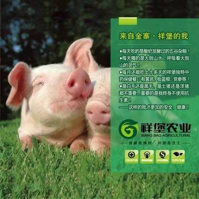 明日:处暑--895《中华节气说》带你看尽四季。