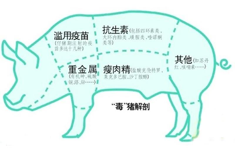 肉品药物残留,危害到底有多大?