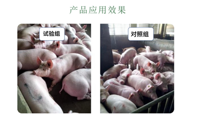大农佳品:开拓中草药绿色养殖,构建安全健康食品产业链