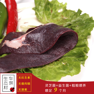 hongsongwang_华琪长白山森林特产