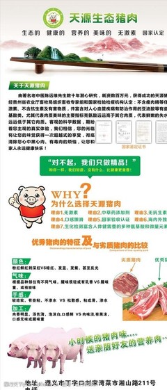 天源生态猪肉X展架