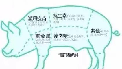 猪瘟横行还想吃猪肉?“我的后园”让你一步到“味”!