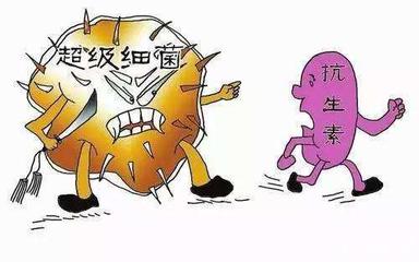 猪肉价格飞涨或将结束 更大危机藏于抗生素