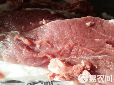黑猪 80斤以上 生态散养跑山黑猪