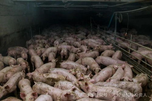当细菌成为杀手