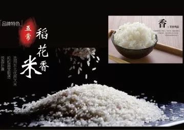 松江这5家人均60 的韩式料理餐厅,思密达控快戳