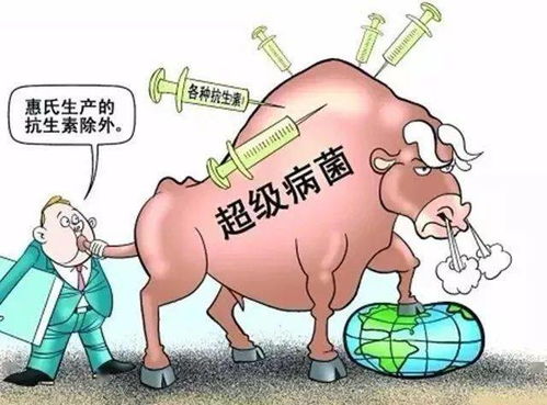 抗生素毒肉 摆满中国人餐桌 猪肉含量居然是牛肉的5倍 鸡肉的2倍