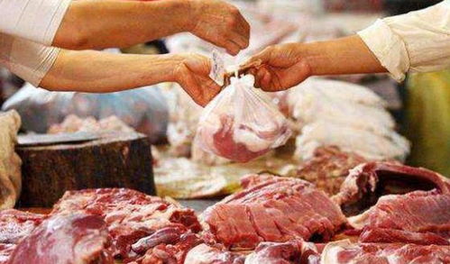 连跌50天后猪价再 掉头 ,价格还没降又迎 变化 ,谁在作祟