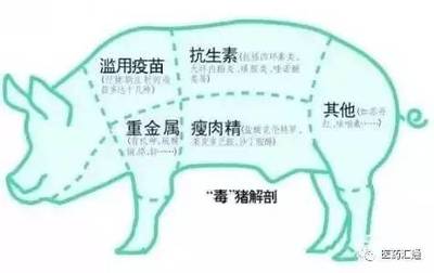 中科院发布抗生素污染地图_科技_网